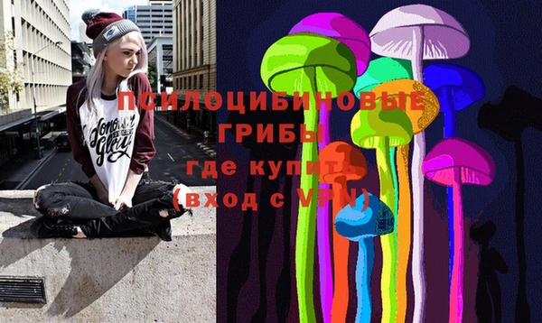 а пвп мука Алзамай