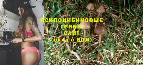а пвп мука Алзамай