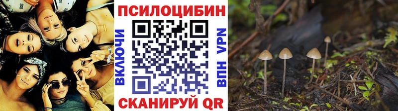 Псилоцибиновые грибы GOLDEN TEACHER  купить закладку  Болгар 