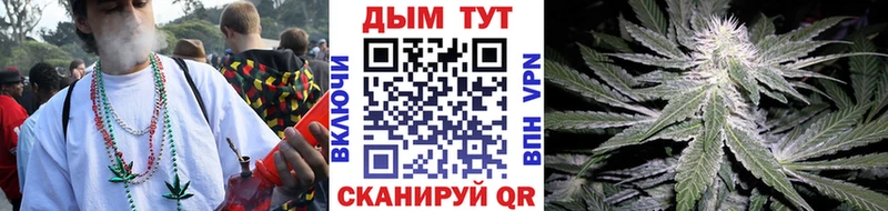 дарнет шоп  Болгар  Бошки марихуана SATIVA & INDICA 